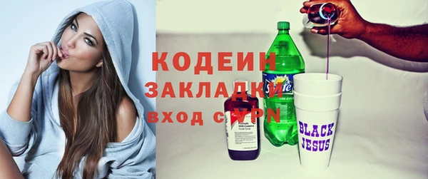 индика Сосновка