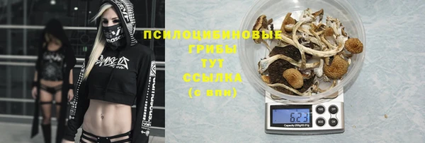 гидра Алзамай