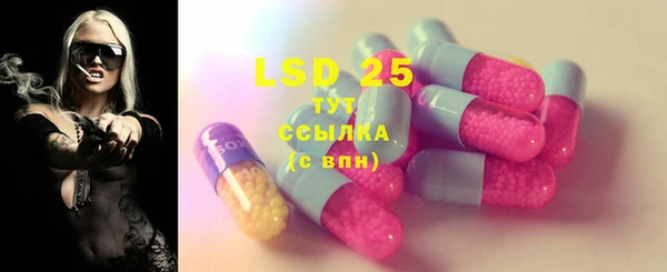 прущие грибы Алексеевка