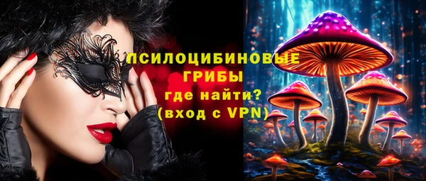 гидра Алзамай