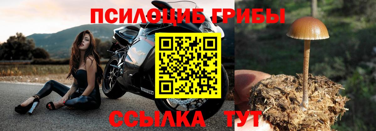 Псилоцибиновые грибы мухоморы  Галлюциногенные грибы Psilocybine cubensis  Вход с VPN  Кропоткин 