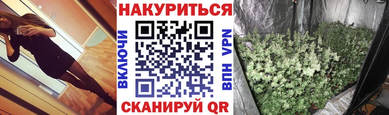 наркота  Кропоткин  Канабис индика 